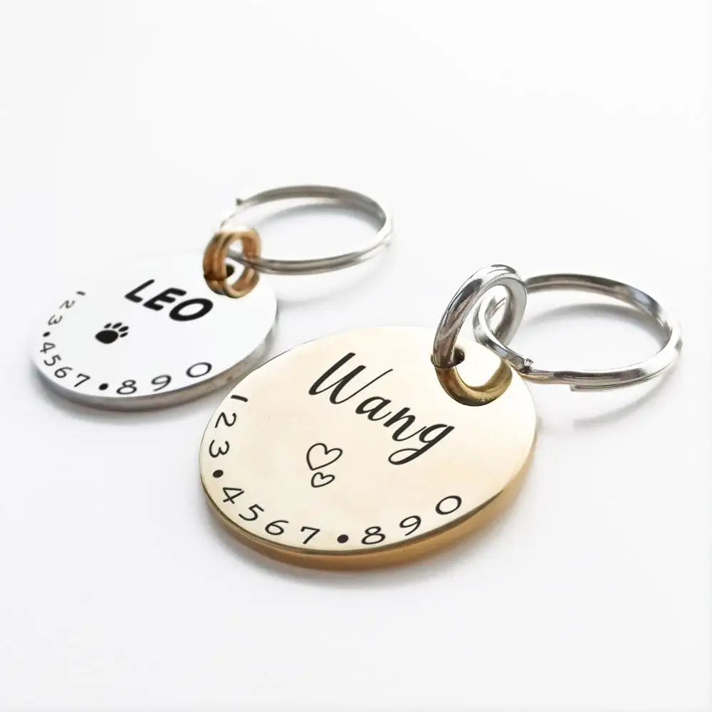 Steel Whisker Charm Pet Pendant - Industrial Steel